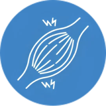 青い円の中に筋肉の線画があり、稲妻のようなマークが2つあります。