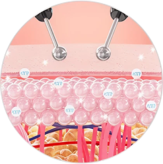 肌の構造に電極があてられ、ATPが生成される様子