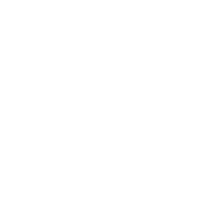 肌の保護を示すアイコン。盾、星、皮膚の断面図が描かれている。